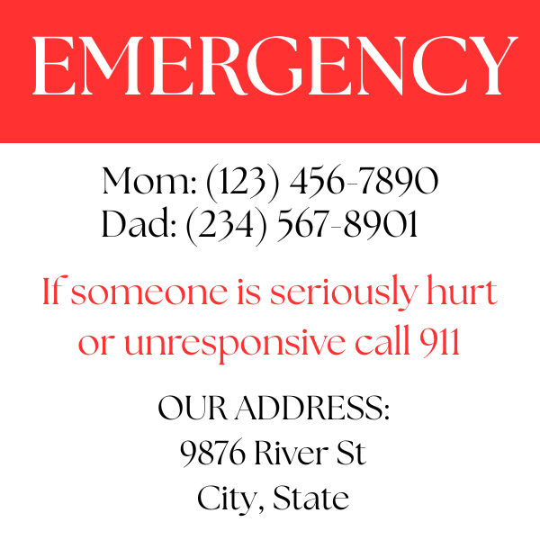 In Case of Emergency Magnets