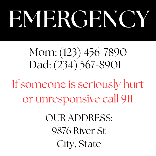 In Case of Emergency Magnets